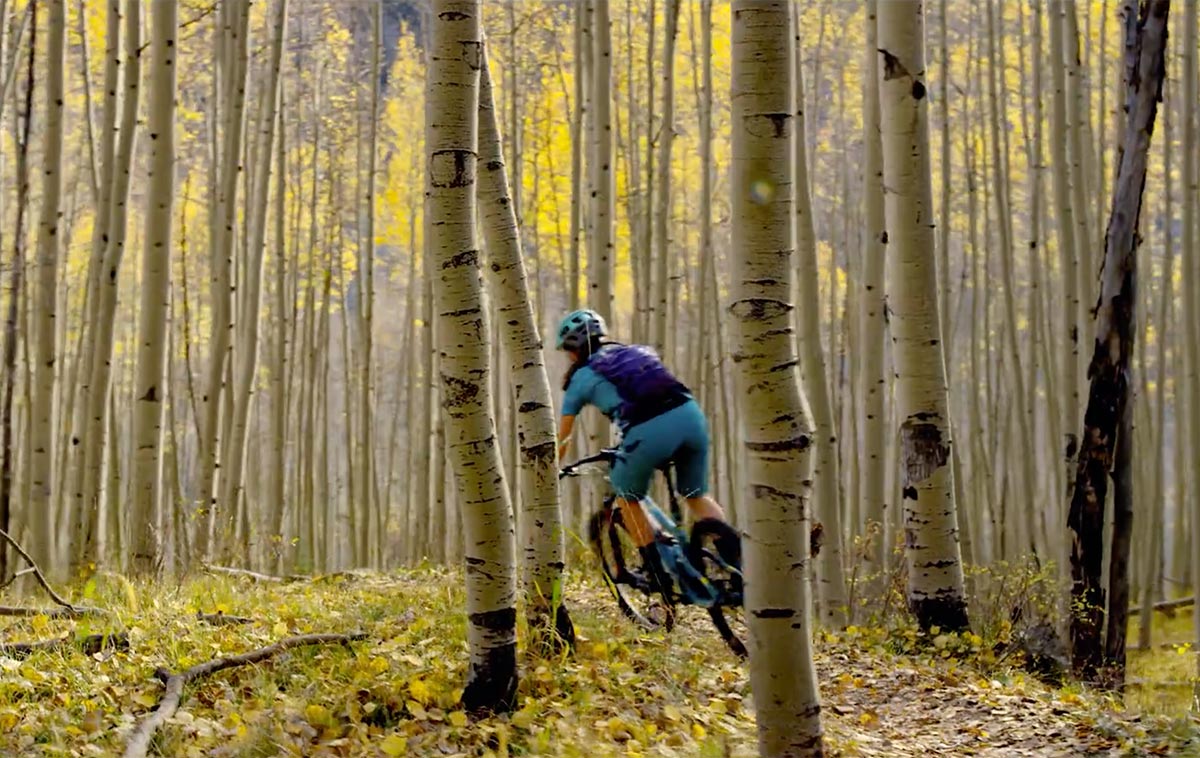 Pittura e mountain bike nella stagione delle foglie morte